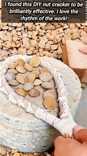 See How This Genius Manual Nut Cracker Setup Works