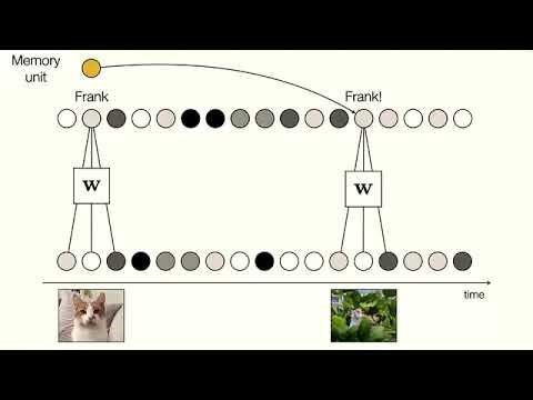 Memory Architectures in Deep Learning #DeepLearning #MachineLearning #RNN #LSTM