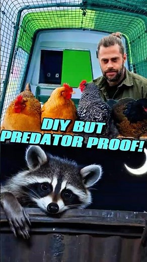 Mobile Coop Hack That Stops Every Predator
