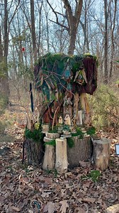 5.9K views · 85 reactions | Take a magical winter stroll through the Gnome & Fairy Villages at the Overland Park Arboretum & Botanical Gardens 栗‍♀️ 29 all-natural gnome and fairy houses are on display until January 31st. Check them out before they’re gone for winter! | Visit Overland Park | Facebook