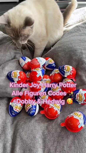 Alle Harry Potter Kinder Joy codes. 🥰 🧙🏻‍♂️#kinderjoy #kinderjoyharrypotter #harrypotter #funkopop #harrypotterkinderjoy #fyp #sweets #funko #codes #potterhead
