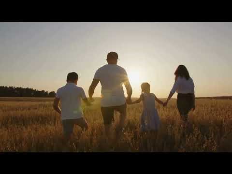 Why Choose the IOP Level of Care? | Zvi from GreenLife IOP Explains