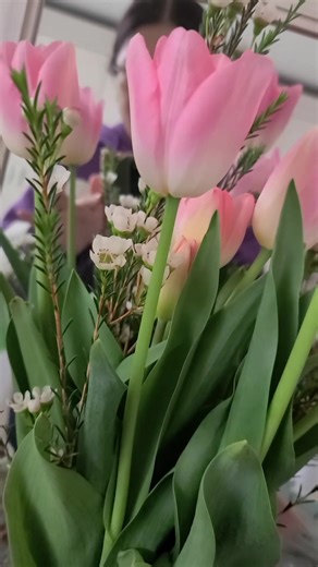 TikTok의 Мария ll Жизнь в Корее