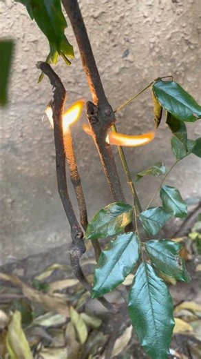 KX500 #laser #igniter #tools