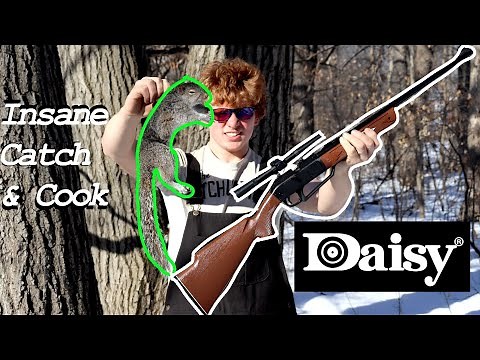 Daisy Powerline 880 Air Rifle with Scope Squirrel Hunting - Catch and Cook