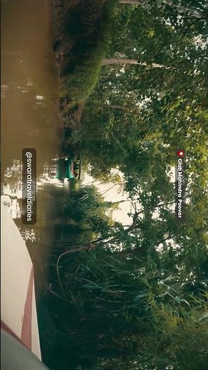 Experience the Serene Backwaters of Kerala | Club Mahindra Poovar Resort