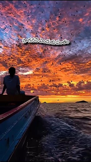 life lyrics.・゜゜・#svsc#trending #growth#flyxo#flyxoeditz