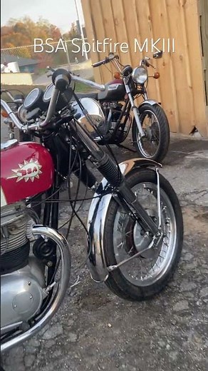 1967 BSA A65 Spitfire MKIII #vintagemotorcycle #vintagemotorsports