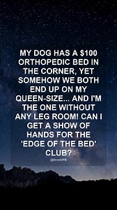 It's amazing how such a small dog needs so much room, but I wouldn't change it for the world. | Growld.com