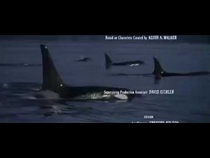 Free Willy 2: The Adventure Home (1995) end credits