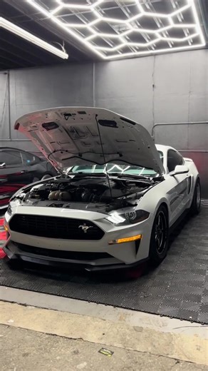 🐺🐺#mustang#ford#5.0#supercharged#fyp | mustang