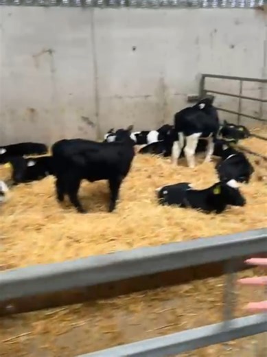 Exploring Farm Life with Sean Collins