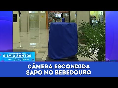 Sapo no Bebedouro | Câmeras Escondidas (23/08/23)
