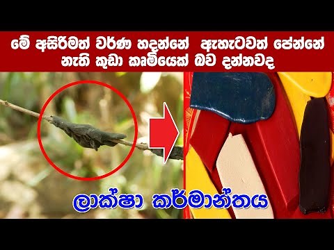 ලක්ෂා කර්මාන්තය 1 කොටස | Sri Lanka Laksha Karmanthaya