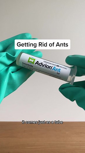Easy Ant Control with Advion Ant Bait Gel