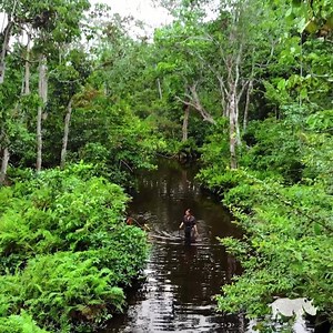 Be one of the pioneers to explore this one-of-a-kind, untouched wilderness. Let our travel experts plan your ultimate adventure to West Africa today. | Rhino Africa