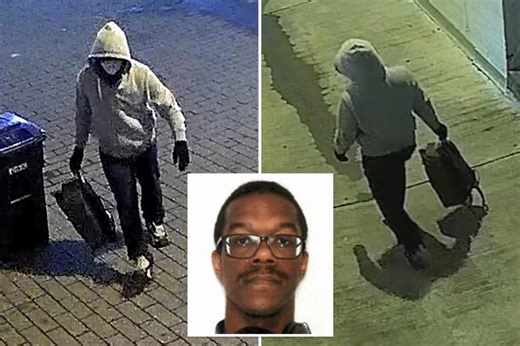 DC pipe-bomb suspect Brian Cole Jr. appears in court for first time as weeping female kin cry out, ‘We love you!’