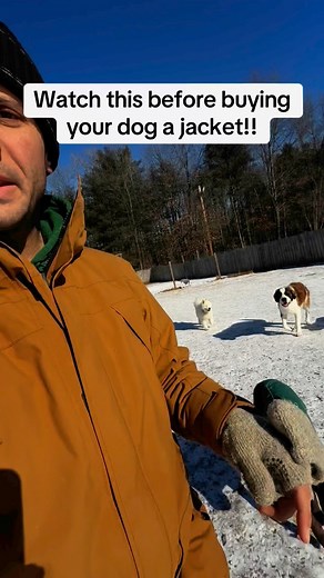 The top things I look for in a dog jacket.. 1. Easy to take on and off. Zippers are a pain and they tend to come undone when the dogs play! Snap buckles are so much easier. 2. Durability. A tough, weatherproof outer shell not only helps when it’s raining, but will also last much longer and resist rips from dogs, roughhousing and running through the woods, for example. NO VELCRO! Velcro does not stand the test of time. 3. A good fit. Some brands like Hurtta have many size options to fit any dog. 