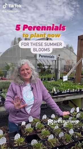 Planting Perennials for Beautiful Summer Blooms | Gardening Tips