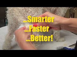 Unlock Exclusive Dog Grooming Lessons & Guides – Join Go Groomer Hound Level