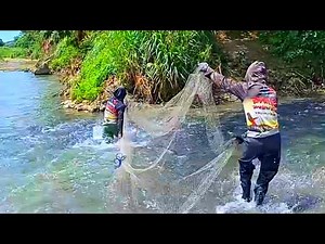 Fish video big net fishing , 😲 Unbelievable Big Net Fishing – Monster Fish Caught!