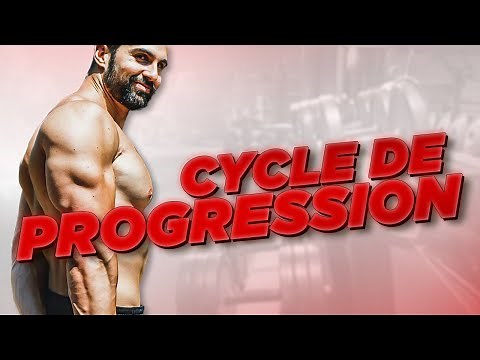 THE CYCLES OF PROGRESSION IN BODYBUILDING