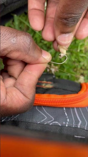 How to put a cricket on a hook #best bream bait #fishing