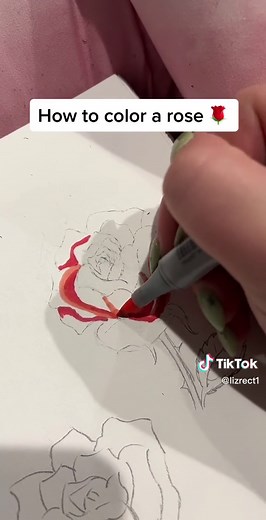 lizrect on TikTok