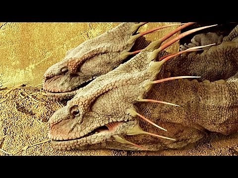 ATLANTIS - BBC Series | TRAILER | HD