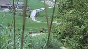 Zatoichi.(14.film.iz.26).Polomnichestvo.Zatoichi.1966.XviD.DVDRip