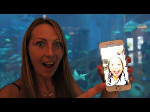 Calling Tiana On Facetime! Giant Aquarium