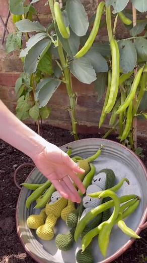 52 reactions | It’s almost time for @bbcgwlive and @bbcgoodfood_ at...