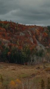 8M views · 169 reactions | Designed for Canadians by Canadians. Get help from one of our Canadian tax experts to make the most of what you made this year. File now. | TurboTax Canada | Facebook