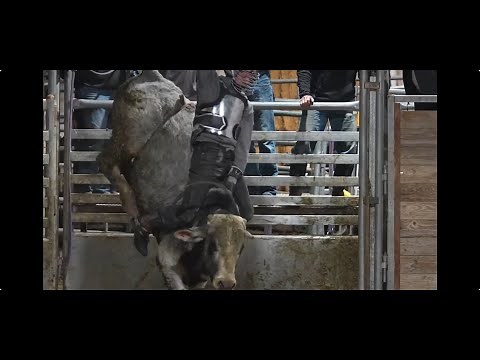 Experience a Bull Riding Clinic With Wiley Petersen