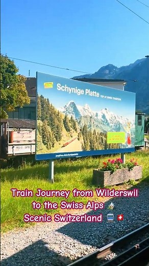 Train Journey from Wilderswil to the Swiss Alps Scenic Switzerland 🚆🇨🇭