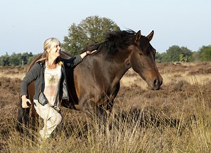 True Connection Horse Training