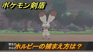 ポケモン剣盾　ホルビーの出現場所は？オススメの場所は？天気は？ポケモン図鑑コンプへの道！　最新版【ポケモンソード・シールド】
