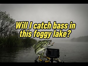 Will I catch bass on this foggy lake?