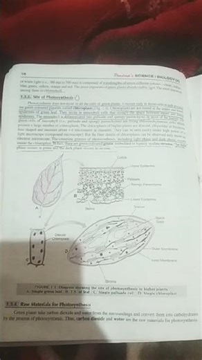 class 10th 1 chapter notes part 1st