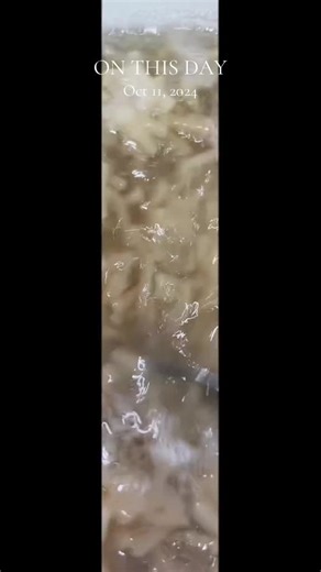 Historical Events on October 11