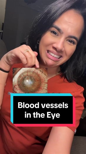 Blood Vessels in the Eye: Facts about Cornea and Infections