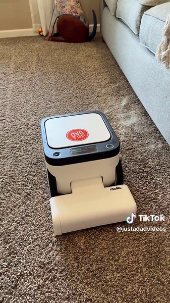 Matic Robot Vacuum Review: Dog Hair Cleaning Test