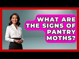 What Are The Signs Of Pantry Moths? - Insects and Invaders