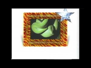 Amazing Animals: Animal Senses (Part 2 of 2)