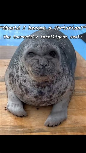 Seal Enjoyer on Instagram: "The heart is one of the most vulnerable organs in the body, both physically and spiritually. The heart has been described throughout human history as the center of emotion and desire. People are often told to "follow their heart" or sometimes people suffer from "heartbreak". The Bible has very specific things to say about the heart. Proverbs 4:23 KJV Keep thy heart with all diligence; for out of it are the issues of life. The Bible is clear that the heart is not to be