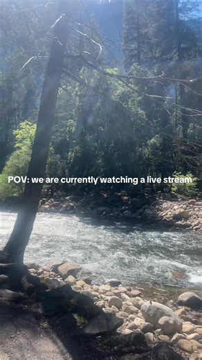 Just some Yosemite live stream to bless your feed #livestream #yosemite #nature @leila