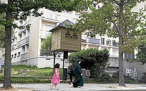 « Il faut réussir à attirer les pigeons à l’intérieur » : comment fonctionne le pigeonnier contraceptif installé à Rennes | Le Télégramme