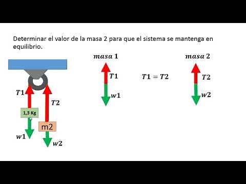 TENSIONES Y POLEAS - DIAGRAMAS DE CUERPO LIBRE Y EJERCICIOS