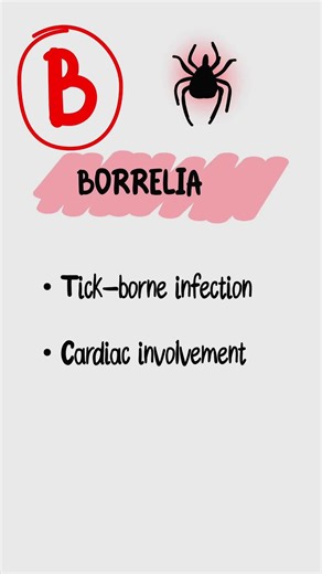 Myocarditis Mnemonic Explained | Coxsackie B & Causes (USMLE High-Yield)