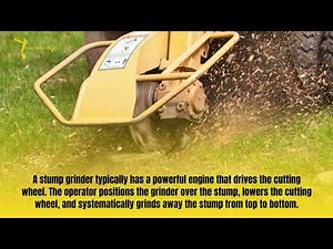 Stump Grinding | How to Remove Tree Roots After Stump Grinding